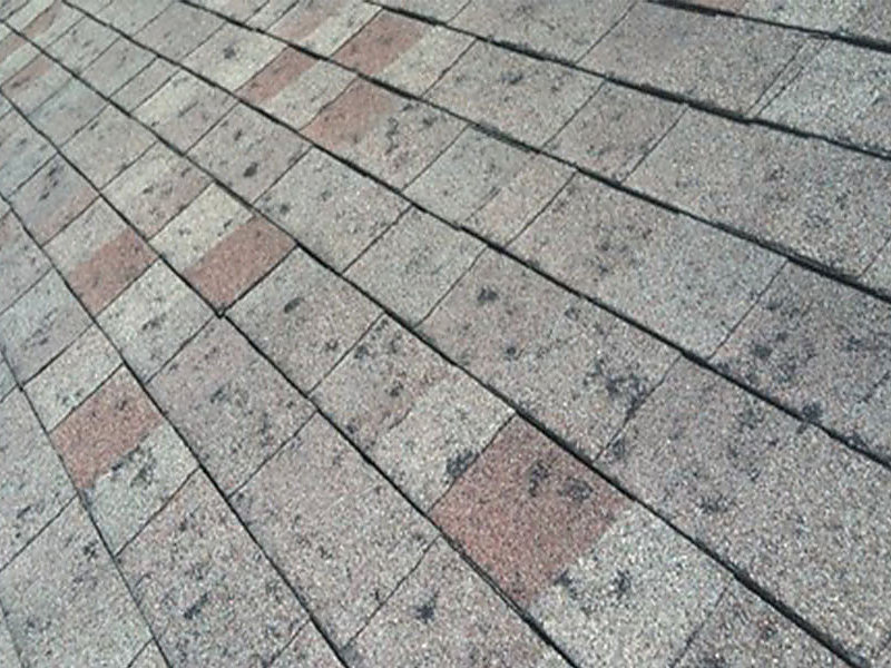 Granule loss and bruising on asphalt shingles