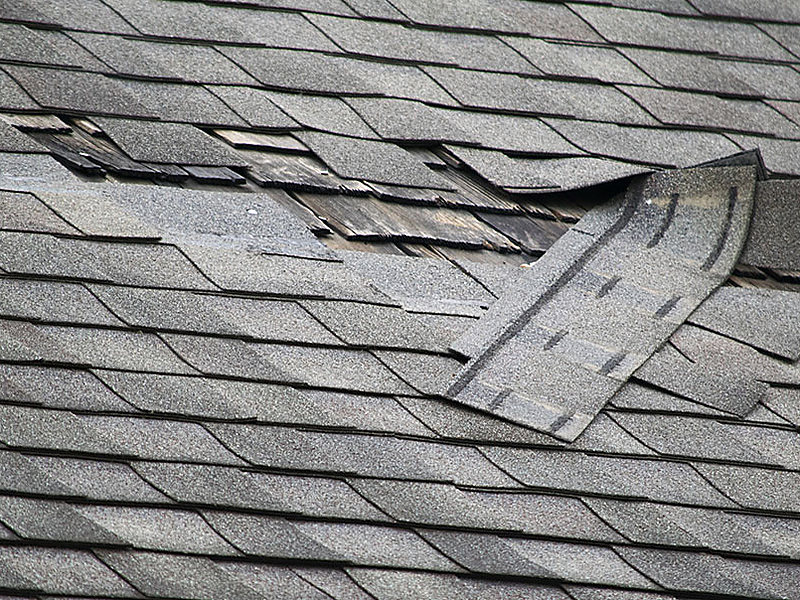A wind-lifted, torn shingle on an asphalt roof